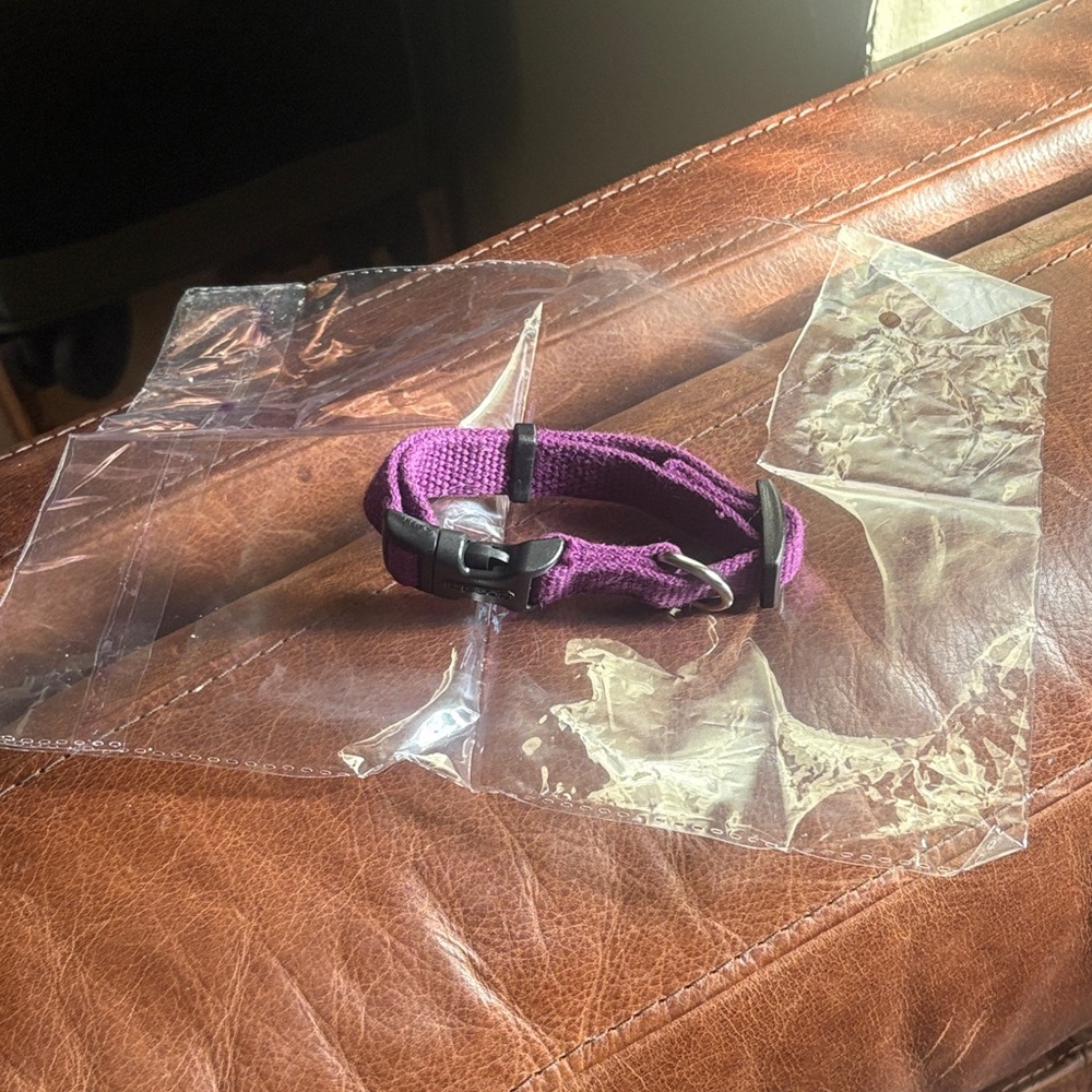 Purple Pet Collar